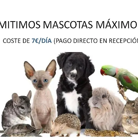 Zambra Iii Apartament La Manga del Mar Menor